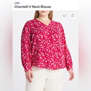 Chantelli V-neck blouse